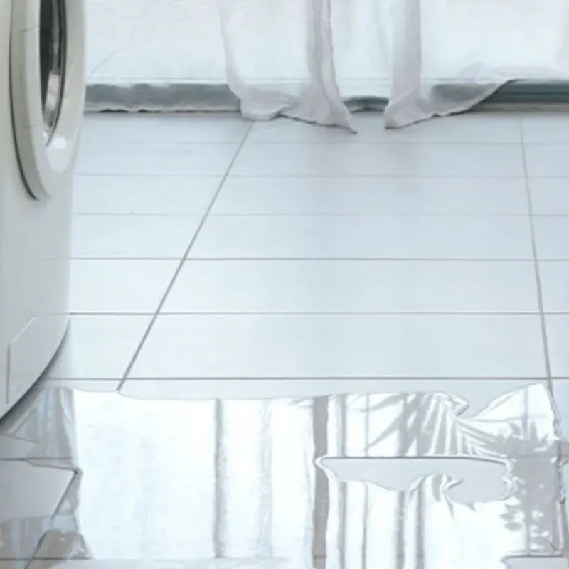 Appliance Leak Cleanup in Central Gardens, TX