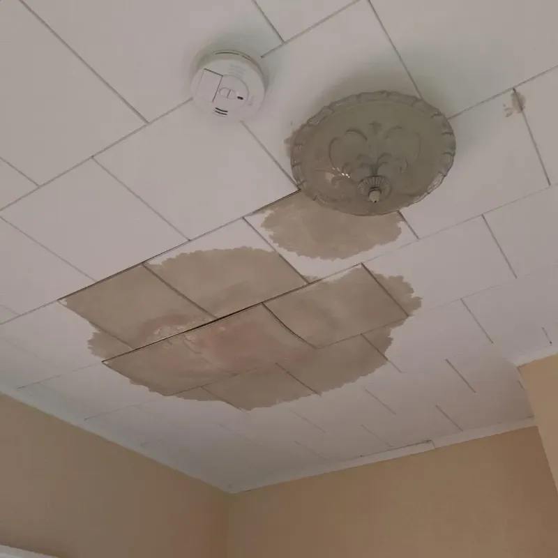 Ceiling Water Damage Repair in Central Gardens, TX