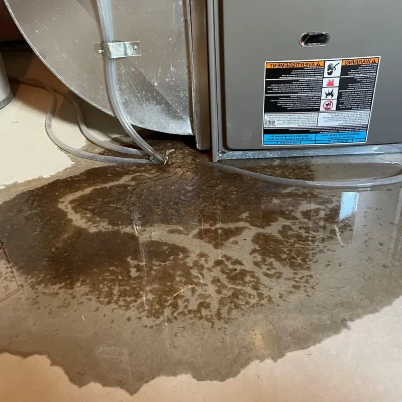 Pipe Burst and Leak Restoration in Central Gardens, TX
